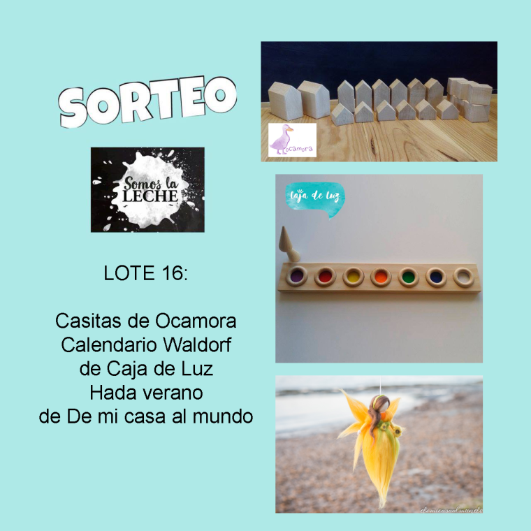 Lote 16